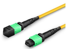 MTP Plenum Trunk Cables 351.png