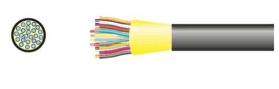 mtp-24
